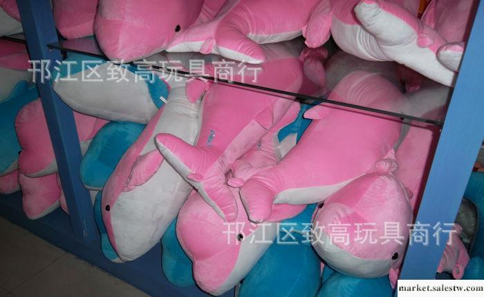 批發正版海豚公仔 毛絨玩具 海豚灣戀人 海豚公仔 玩偶 海豚抱枕工廠,批發,進口,代購