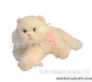 贊！ 可愛貓咪毛絨玩具 廣東毛絨玩具專業定做 生日禮物最佳選擇工廠,批發,進口,代購