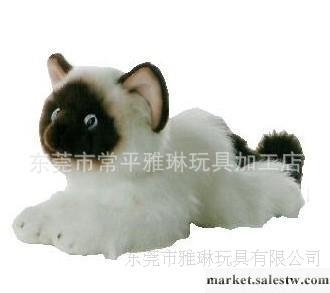 可愛趴姿貓咪 毛絨玩具 廣東毛絨玩具 專業定做 生日禮物最佳選擇工廠,批發,進口,代購