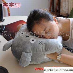 供應可愛龍貓暖手枕 多功能卡通午休枕 毛絨暖手捂靠墊抱枕批發・進口・工廠・代買・代購