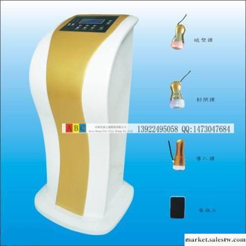 ABC正品 無針美塑（液晶版）高檔立式無針破壁儀|冰電波拉皮儀工廠,批發,進口,代購