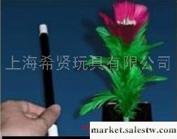 供應魔術玩具魔術棒變花工廠,批發,進口,代購