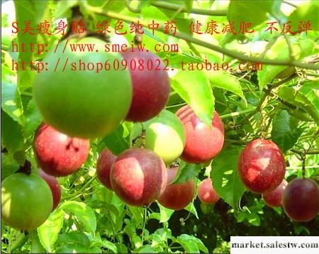 供應 S 美  瘦 身 貼 泡澡減肥法—S美瘦身貼工廠,批發,進口,代購
