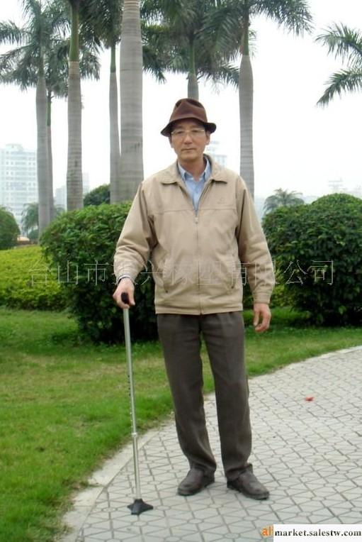 供應聚力牌固定拐杖工廠,批發,進口,代購