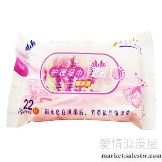 供應雅潤Aran雅潤護理濕巾22片裝工廠,批發,進口,代購