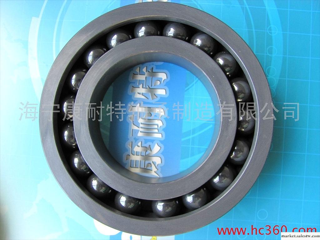 供應KNETP6305CE氮化硅陶瓷球軸承工廠,批發,進口,代購