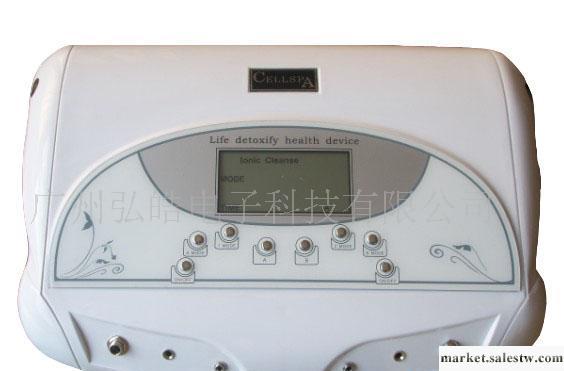 供應家庭用雙人腰帶離子細胞排毒水療儀排毒儀，保健按摩器材工廠,批發,進口,代購