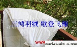 大量蠶絲被,化纖被,羊毛被,提供大量羽絨等原材料工廠,批發,進口,代購