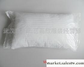 供應廠家直銷方形中空棉枕芯（40*65cm)工廠,批發,進口,代購