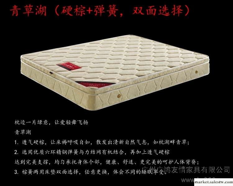 供應臺灣友情床墊WA801彈簧床墊，青草湖，臺灣友情床墊，床墊招商，單人床墊工廠,批發,進口,代購