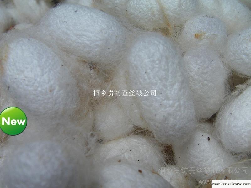 供應廠家批發零售桑蠶絲1.5KG 桑蠶絲被保證100％  正品工廠,批發,進口,代購