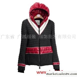 供應羽絨服冬裝新款女裝 歐美大牌同款帶帽修身羽絨服J6276工廠,批發,進口,代購