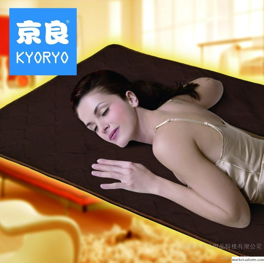 供應京良kyoryo京良熱墊100*200京良熱賣 電熱毯  保暖床墊工廠,批發,進口,代購