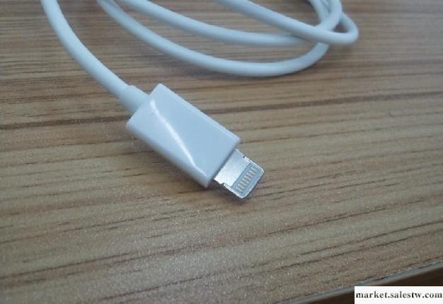 【廠家直銷】全新Lightning 數據線 iphone5 ipadmini ipad4 ip5工廠,批發,進口,代購