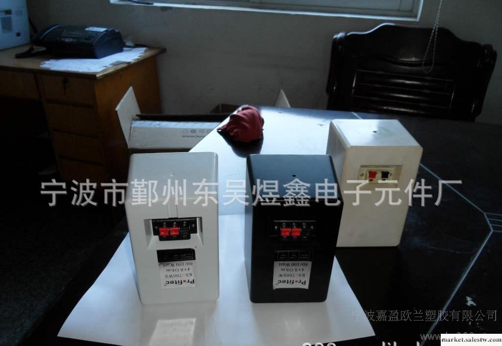 專業音響4寸5寸6寸6.5寸8寸音響及其塑料外殼配件工廠,批發,進口,代購