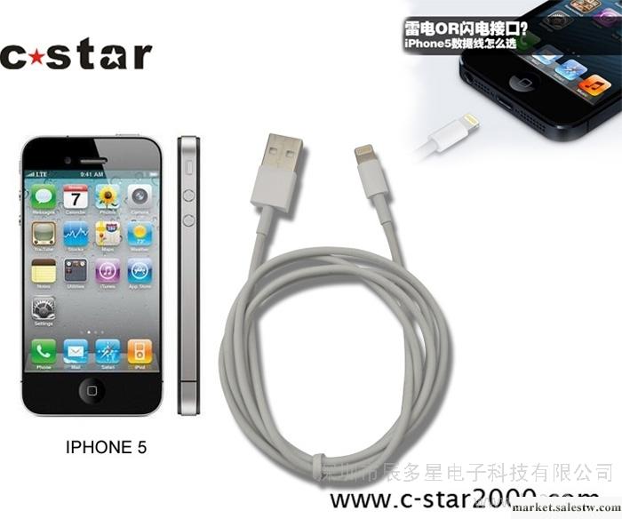 供應CSTAR蘋果iPhone5數據線工廠,批發,進口,代購