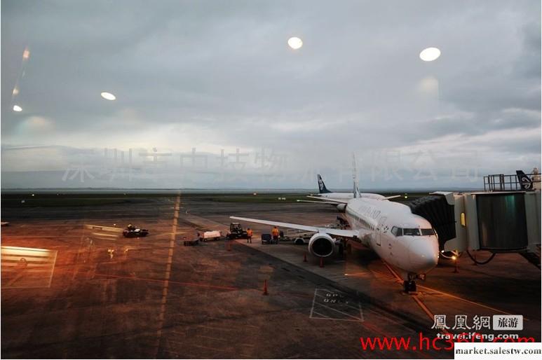 NZ空運新西蘭航空在線查詢網站，NZ空運航空公司NZ航空國際空運在線查詢網址工廠,批發,進口,代購