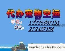 供應青島里程航空寵物狗能和我一起坐飛機嗎工廠,批發,進口,代購