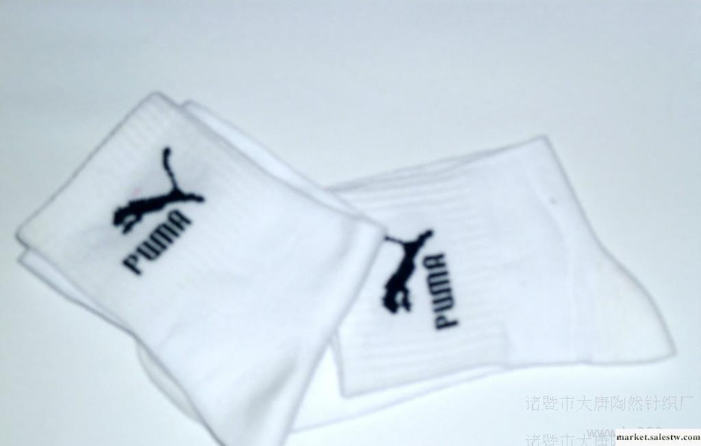 出售批發外貿尾單全棉庫存襪*白色運動襪 量大從優工廠,批發,進口,代購