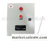 供應半導體電子點火器XZ2-ZL-4/c工廠,批發,進口,代購