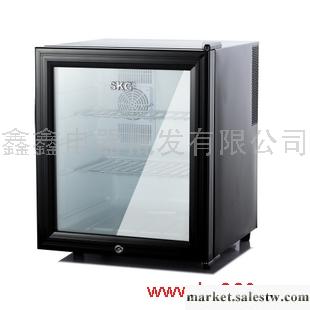 供應SKG DB3506 電子冰箱 單身貴族 家用 小型冰箱 半導體冰箱特價工廠,批發,進口,代購