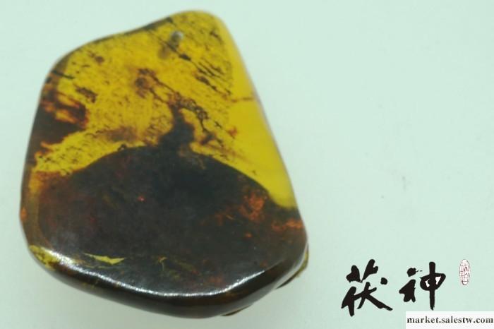 供應茯神 GDGD12060431多米尼加琥珀雕件工廠,批發,進口,代購