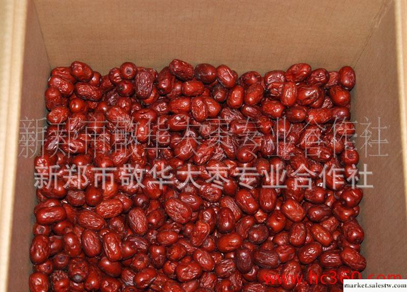 供應和田大棗2011冬新棗嘗鮮，昆侖山和田玉工廠,批發,進口,代購