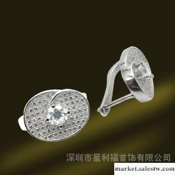 供應A-SHINY鋯石耳環RSE5480E工廠,批發,進口,代購
