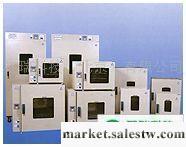 供應金牌DZF-6021北京市真空干燥箱與電池，電子，汽車行業成功合作工廠,批發,進口,代購