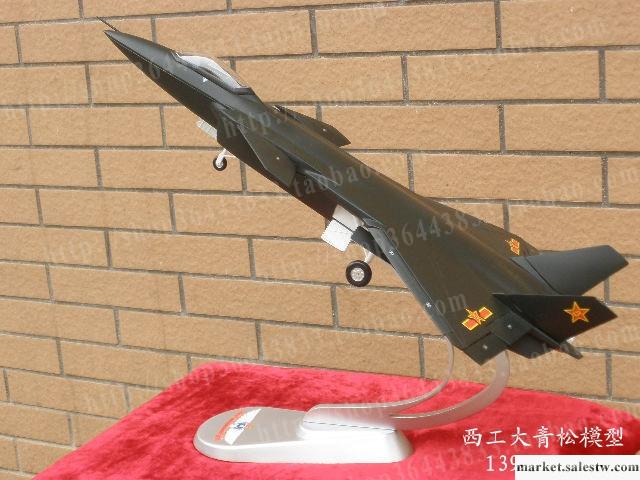 供應1：48殲20飛機模型/高仿真飛機模型工廠,批發,進口,代購