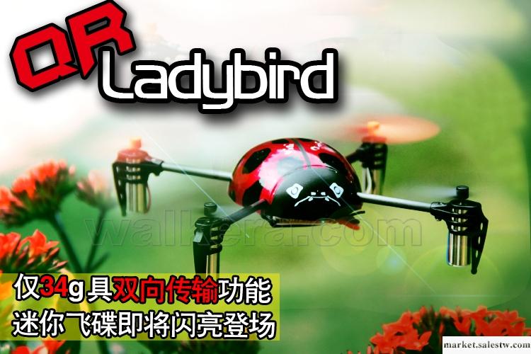 華科爾 迷爾飛碟 UFO 穿花瓢蟲 QR Ladybird（多款控可選配）工廠,批發,進口,代購