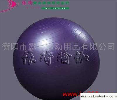 瑜珈球 瑜伽球 健身球 防爆 加厚 充氣泵 紫色批發・進口・工廠・代買・代購