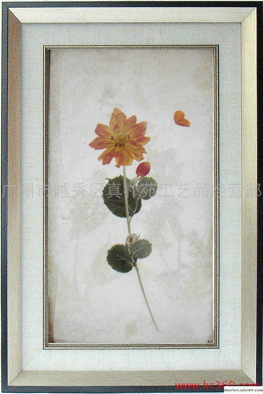 供應押花畫 真花拼貼 工藝畫 禮品 掛畫 植物畫 裝飾畫 SC4060-303工廠,批發,進口,代購
